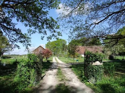 Gite 12 personnes en Sologne